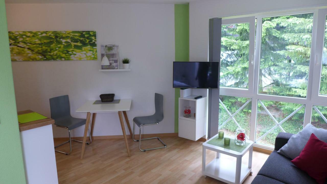 Appartement Schultz - Gruene Aue Braunlage Esterno foto